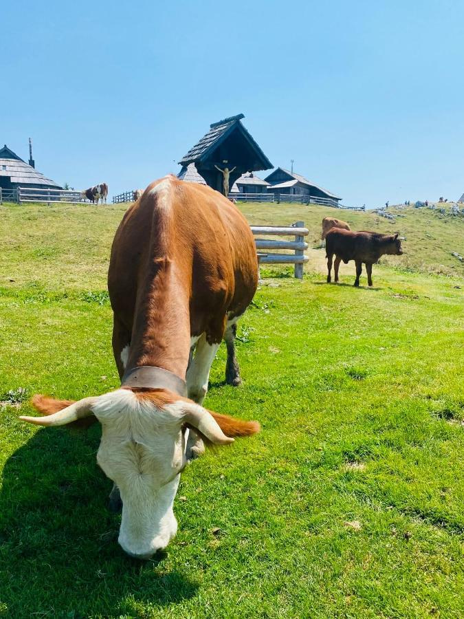 Velika Planina Koca Kekec Villa Stahovica Eksteriør billede