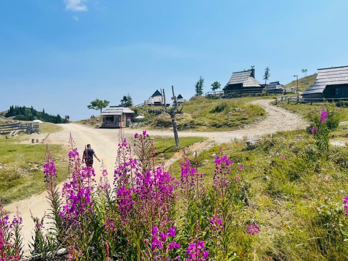 Velika Planina Koca Kekec Villa Stahovica Eksteriør billede