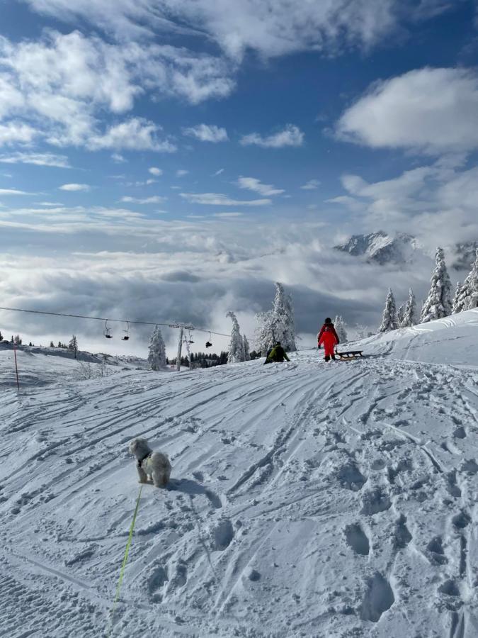 Velika Planina Koca Kekec Villa Stahovica Eksteriør billede